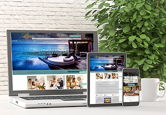 SEO Pro Package by Agent Image